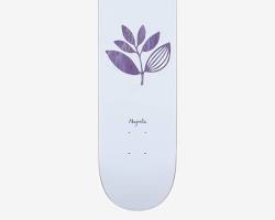 Le Magenta skateboards plant series deck posé sur un sol en bois, soulignant son graphisme végétal original et sa forme parfaitement profilée.